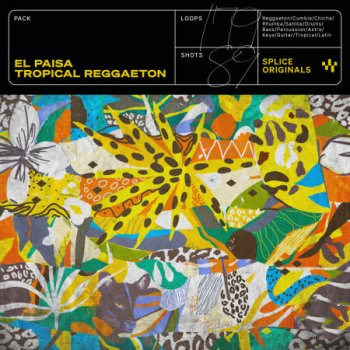Splice Originals El Paisa Tropical Reggaeton WAV Astra Presets-FANTASTiC