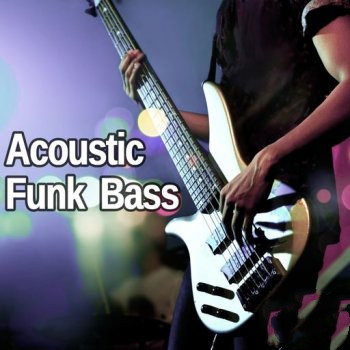 AudioFriend Acoustic Funk Bass WAV-FANTASTiC