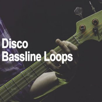 AudioFriend Disco Bassline Loops WAV-FANTASTiC