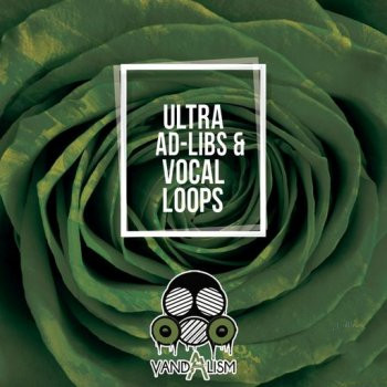 Vandalism Ultra Ad-Libs & Vocal Loops WAV