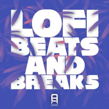 Ultimate Loops Lofi Beats and Breaks WAV-FANTASTiC