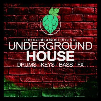 Lupulo Records Underground House WAV-FANTASTiC