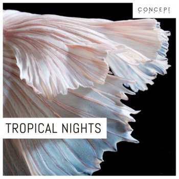 Concept Samples Tropical Nights WAV-FANTASTiC