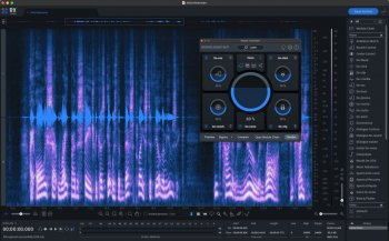 iZotope RX 10 Audio Editor Advanced v10.1.0-R2R