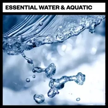 Big Room Sound Essential Water and Aquatic WAV-FANTASTiC