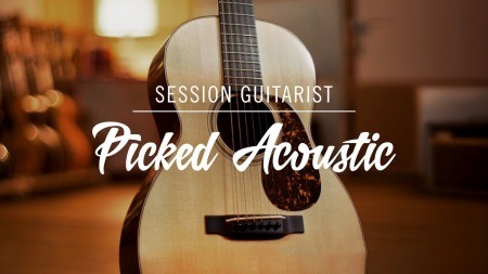 Native Instruments Session Guitarist Picked Acoustic v1.1.0 [KONTAKT]
