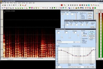 Diamond Cut Audio Restoration Tools 11.0