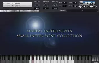 Unreal Instruments Small Instrument Collection for Sforzando-R2R