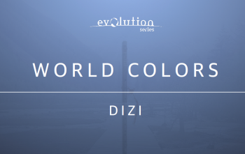 Evolution Series World Colors Dizi v1.0 KONTAKT