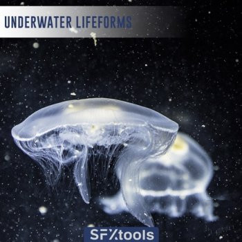 SFXtools Underwater Lifeforms WAV-FANTASTiC
