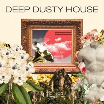 NITELIFE Audio Deep Dusty House WAV-FANTASTiC