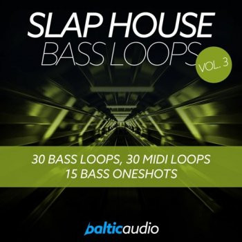 Baltic Audio Slap House Bass Loops Vol.3 WAV Midi