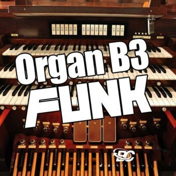 Big Citi Loops Organ B3 Funk WAV-FANTASTiC