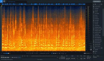 iZotope RX 9 Audio Editor Advanced v9.3.0-R2R