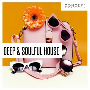 Concept Samples Deep and Soulful House WAV-FANTASTiC