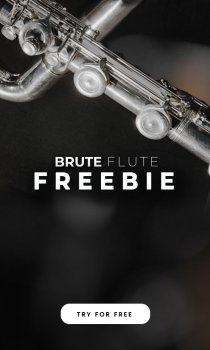 Sonixinema Brute Flute Freebie KONTAKT