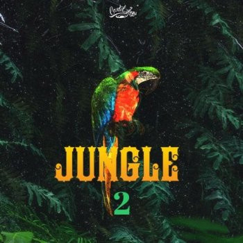 Cartel Loops Jungle Part 2 WAV