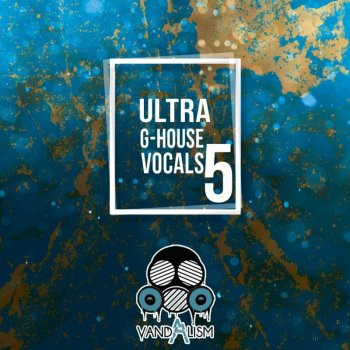 Vandalism Ultra G-House Vocals 5 WAV-HiDERA