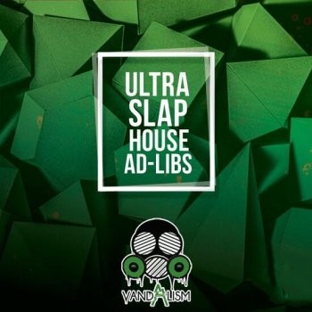 Vandalism Ultra Slap House Ad Libs WAV-DECiBEL