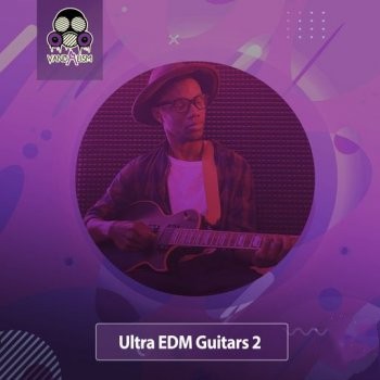 Vandalism Ultra EDM Guitars 2 WAV