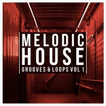 Get Down Samples Melodic House Grooves and Loops Vol 1 WAV Midi-FANTASTiC
